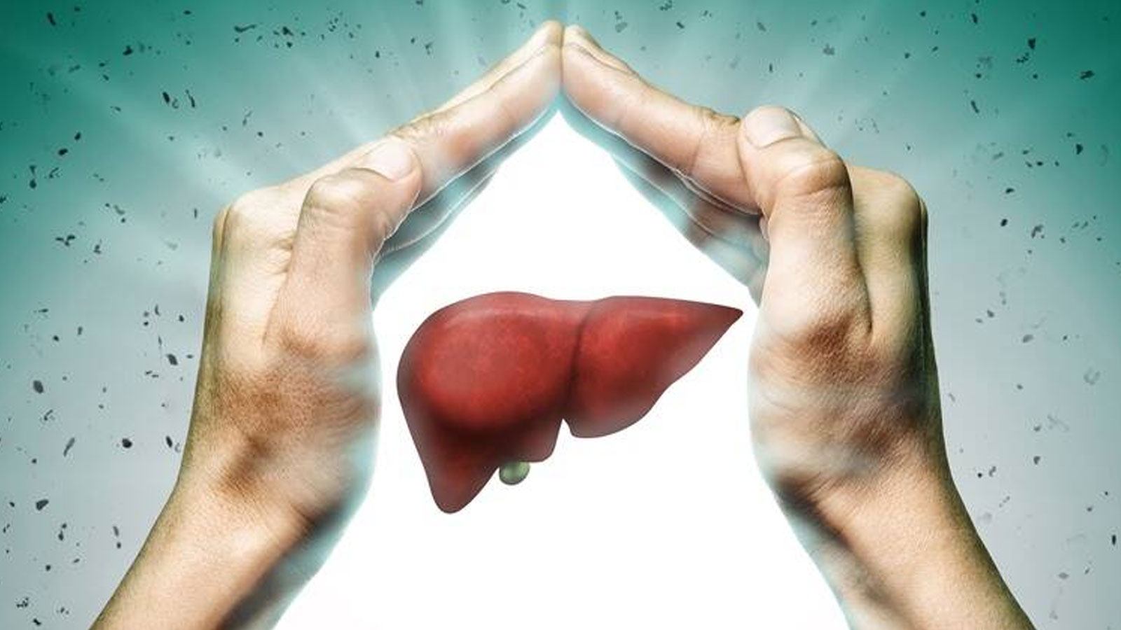 best liver health supplements